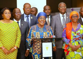 Séance plénière du Sénat:11 projets de loi et le Règlement adoptés