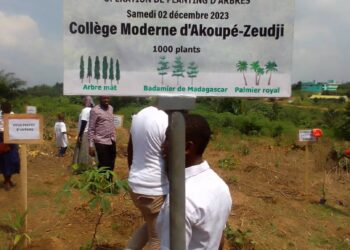 Lutte contre la déforestation : La BICICI renforce le couvert forestier national