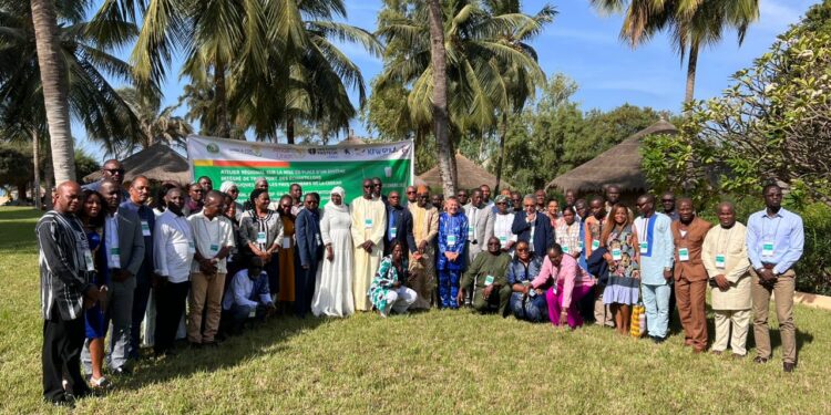 Transport des échantillons biologiques dans les pays membres de la CEDEAO: l’institut pasteur participe à un Atelier à Dakar