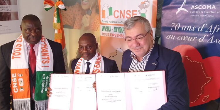 Can 2023/Mobilisation autour des Éléphants: Le Cnse signe un nouveau partenariat