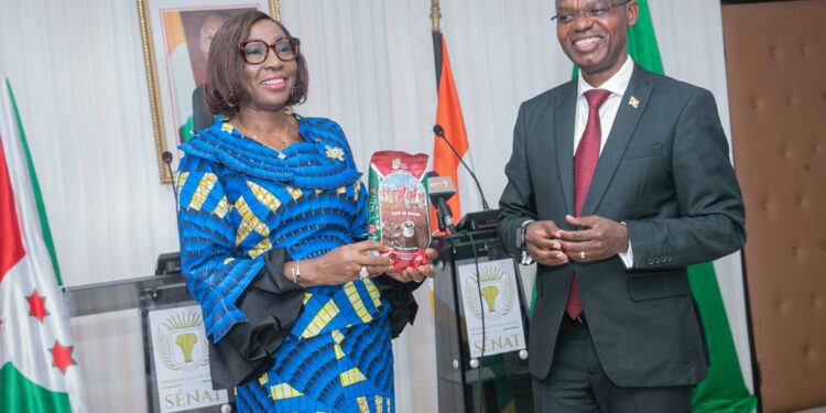 Association des Sénats d’Afrique: Kandia et son homologue burundais évoquent le sujet