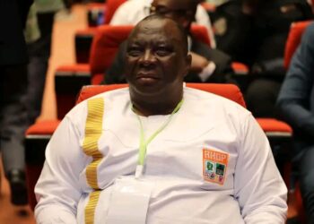 8e congrès du PDCI: Adjoumani (Rhdp) « un peu déçu »