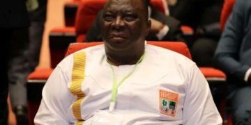 8e congrès du PDCI: Adjoumani (Rhdp) « un peu déçu »
