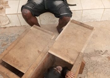 Côte d’Ivoire : D’importants réseaux d’animaux vivants démantelés en 2023