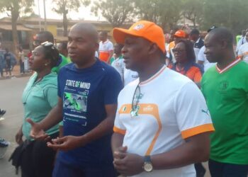 Mobilisation de Balle à Terre pour les Éléphants à Yamoussoukro