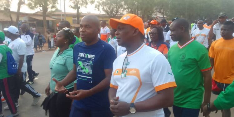 Mobilisation de Balle à Terre pour les Éléphants à Yamoussoukro