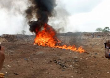 Yamoussoukro: La Cellule anti drogue incinère plusieurs saisies