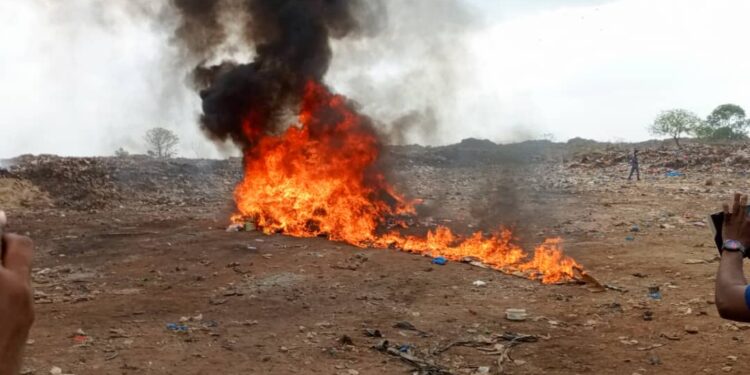 Yamoussoukro: La Cellule anti drogue incinère plusieurs saisies