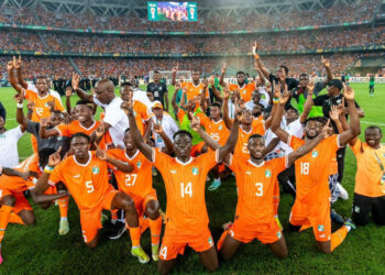 De zéro à héros Retour sur le parcours atypique des Eléphants