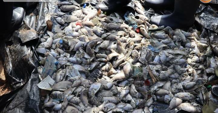 Affaire de poissons morts à Koumassi : Sidi Toure rassure, après une visite