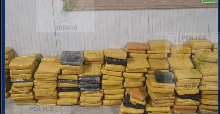 Abobo Biabou : 264 KG de cannabis découvert sous un fromager