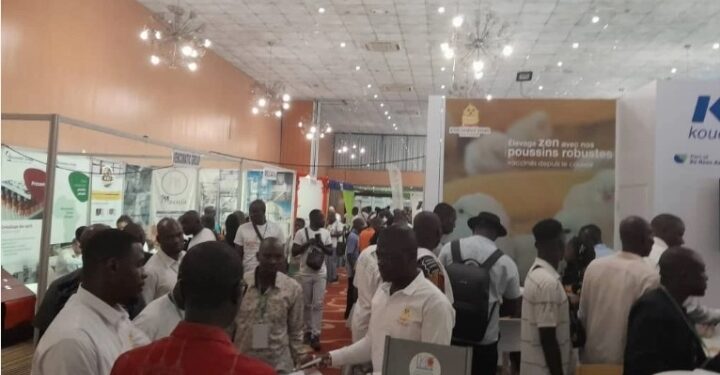 JNA 2024: Le gouvernement réitère son engagement à accompagner le secteur avicole