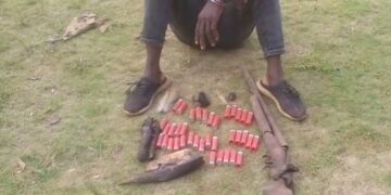 Soubré : En fuite depuis mars, un présumé trafiquant de peaux de panthère interpellé avec une arme et des munitions