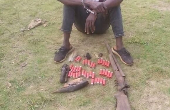 Soubré : En fuite depuis mars, un présumé trafiquant de peaux de panthère interpellé avec une arme et des munitions