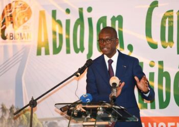 Le Ministre Zoro Bi Ballo présente le libéralisme et la multipolarisation comme une belle opportunité 