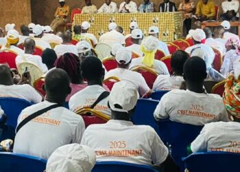 Présidentielle 2025: Alpha Sanogo met en ordre de bataille les militants RHDP de Tiassalé