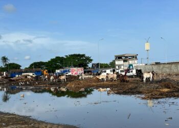 (Analyse) Déguerpissement du Parc à Bétails, quartier abattoir de Port-Bouët : Un acte salutaire