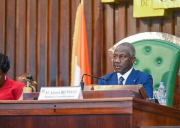 Côte d&rsquo;Ivoire/Assemblée nationale : 9 projets de loi adoptés 