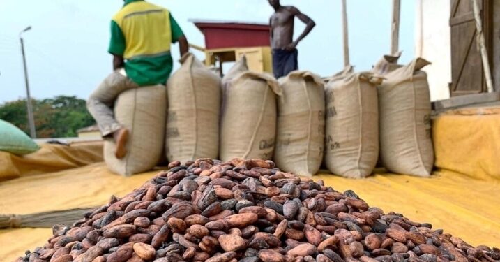 Mise en place de l’interprofession café-cacao: La centrale agricole et la Lidopa portent la voix des producteurs