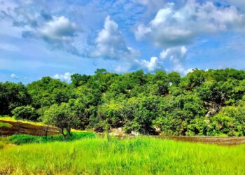 Bouaké/Pokoukro-Niamoutiekro : Un conflit foncier déchire le village, la police s&rsquo;en mêle