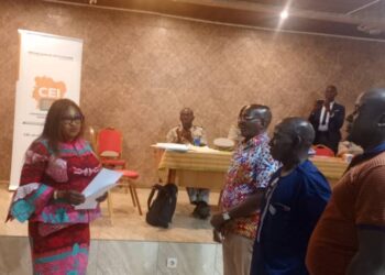 Installation de la CEL de Tiassalé: La CEI récuse le candidat du RHDP et reporte le vote Les raisons 