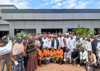 Touba/Présidentielles 2025: Le Rhdp forme les responsables de structures de base du Bafing