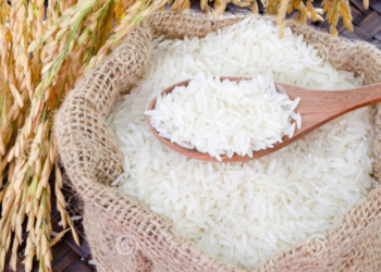 (magazine) Production de riz : la Côte d’Ivoire redynamise sa filière à travers une nouvelle stratégie