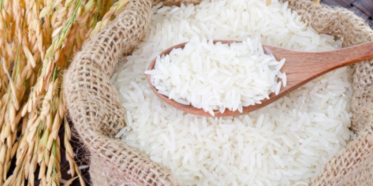 (magazine) Production de riz : la Côte d’Ivoire redynamise sa filière à travers une nouvelle stratégie