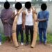 Côte d’Ivoire : 5 présumés trafiquants d’animaux interpellés avec 2 défenses d’éléphants de près de 60 kg