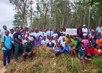 Yamoussoukro : 150 plants d’arbres plantés à la forêt urbaine des 220 Logements
