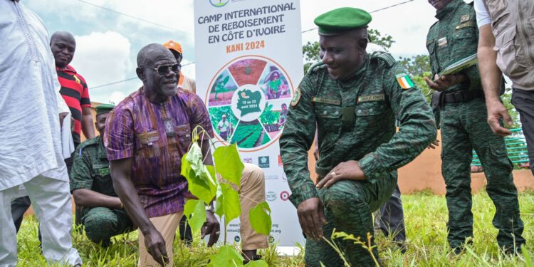 Culture écologique : 53 000 arbres plantés à Kani par la Fondation Cœur Vert et ses 229 bénévoles