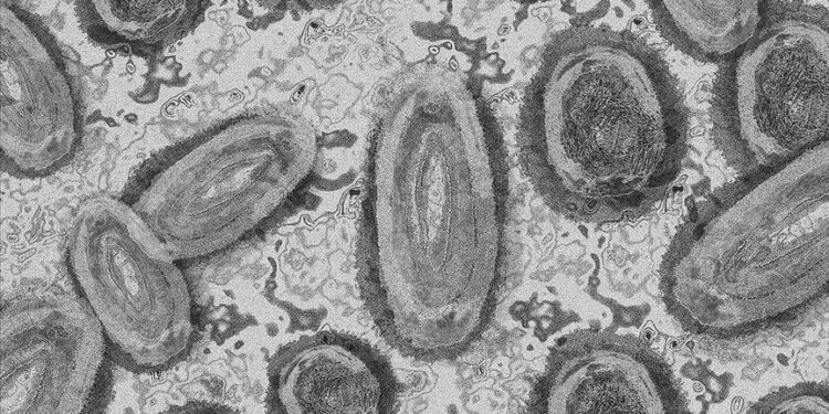 Variole du Singe : 272 cas contacts sous surveillance pendant 21 jours dans 15 districts sanitaires