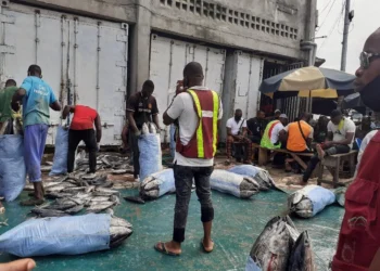 Port de pêche d’Abidjan : ça grogne fort dans la filière halieutique !