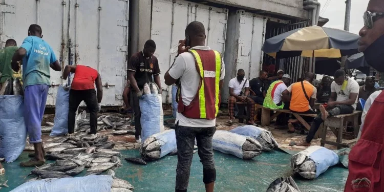 Port de pêche d’Abidjan : ça grogne fort dans la filière halieutique !