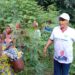 Autonomisation des femmes de Logoualé: Jeannette Badouel lance un projet de 141 ha de manioc