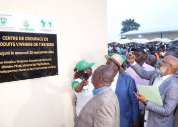 Economie : le ministre Adjoumani livre deux centres de groupage de produits agricoles aux populations de la région du Bélier