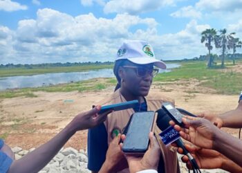 Pôle agro-industriel du Bélier (2PAI-Bélier): Aka Valérie, Coordonnatrice du Projet : « Le projet est réalisé à 85% des objectifs impartis »