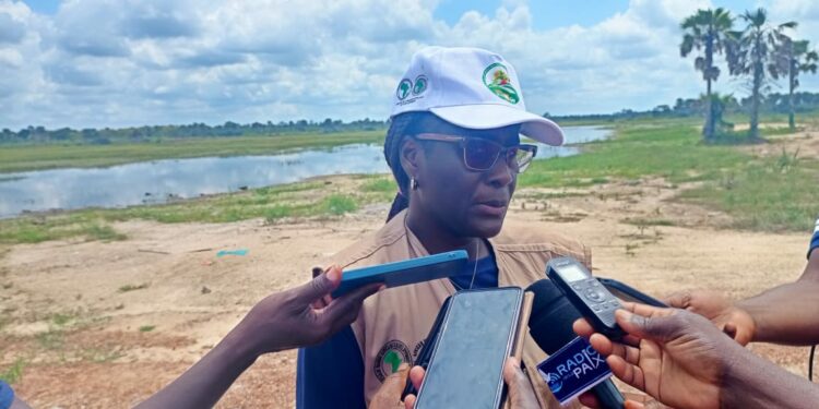 Pôle agro-industriel du Bélier (2PAI-Bélier): Aka Valérie, Coordonnatrice du Projet : « Le projet est réalisé à 85% des objectifs impartis »