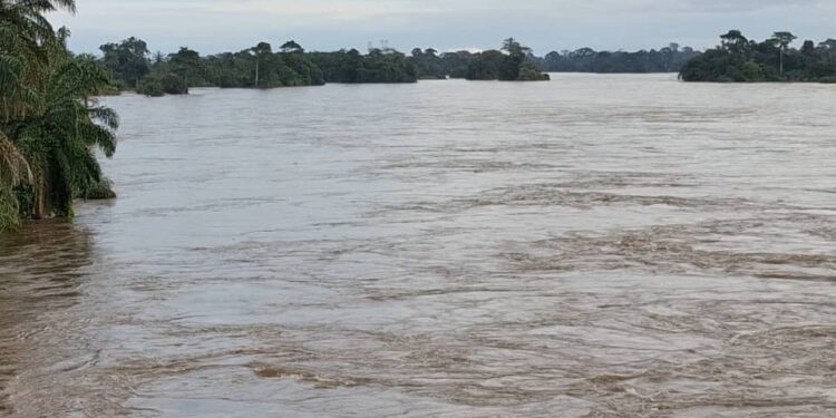 Crues du fleuve Sassandra : Une partie de Soubré sous les eaux