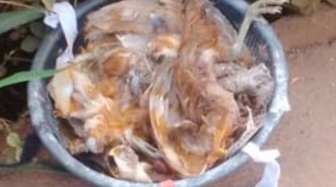 Tiassalé: Des fétiches découverts devant la résidence d’Alpha Sanogo, l’opposant à Assalé