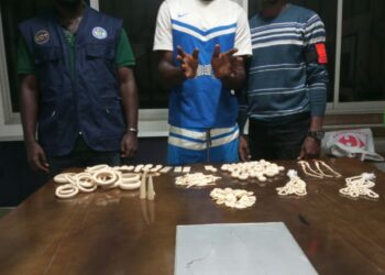 Abidjan/commerce illégal d’ivoires sculptés: 4 redoutables trafiquants spécialisés mis aux arrêts