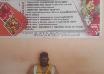 Marahoué/Filière anacarde : Diarra Boche en campagne pour le respect du prix d’achat