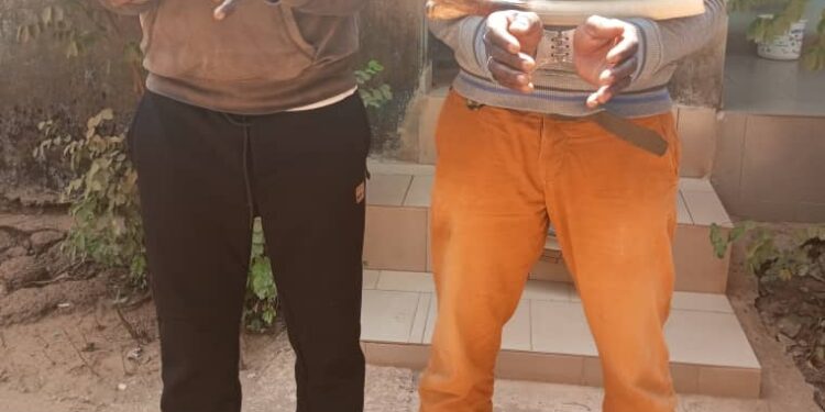 Côte d’Ivoire : 2 présumés trafiquants interpellés avec des ivoires en provenance du Burkina Faso