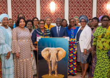 Bictogo aux femmes du RHDP : « Allons sur le terrain pour porter le message du président Ouattara »