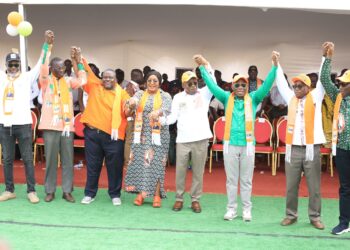 Meeting Rhdp à Agnibilékrou/Siandou Fofana invite les populations à la « sérénité et à ne point céder aux chants de sirènes »