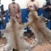Bouna : Deux présumés trafiquants d’animaux interpellés avec 3 peaux de panthères