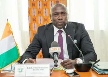 1er Forum de Coopération économique bilatérale: Abidjan accueille plusieurs experts et investisseurs