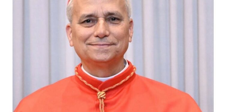 (Portrait) Vatican : Tout savoir sur le nouveau Pape Léon XIV.