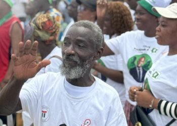 PDCI-RDA:Ce que cache la démission de Thiam et la décision précipitée d&rsquo;un congrès le 14 mai