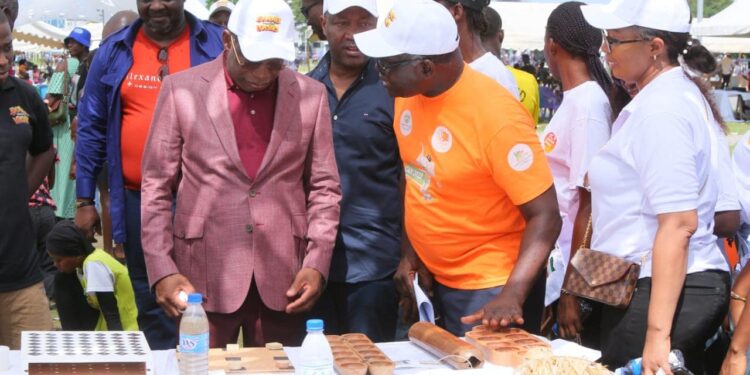 Journée mondiale du loisir 2025: Agnibilékrou accueille les festivités les 16 et 17 mai. Ce qui sera au menu